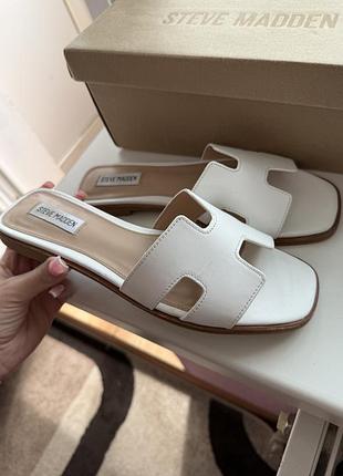 Шльопанці  steve madden