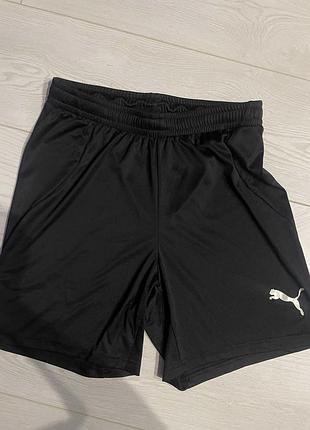 Чоловічі спортивні шорти puma s
