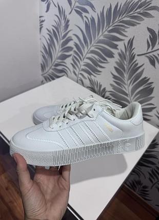 Кросівки adidas samba