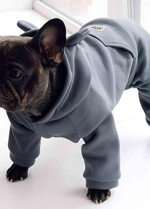 Костюм dogs bomba з кишенею сірий d-83