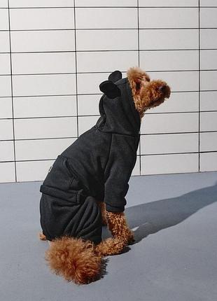 Костюм dogs bomba з кишенею чорний d-158