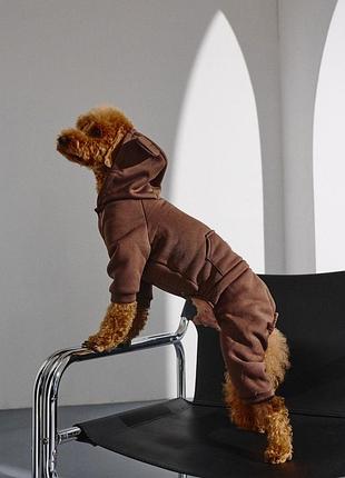 Костюм dogs bomba з кишенею шоколад d-225
