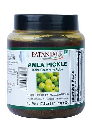 Амла пікл/amla pickle, пряна соусна домішка patanjali, 500 г 12\2026