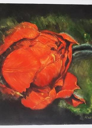 Картина "красный тюльпан", 40х50, 2015, масло, холст