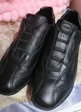 Кросівки geox