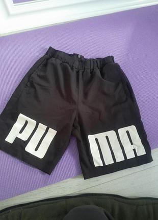 Мужские шорты бренда puma