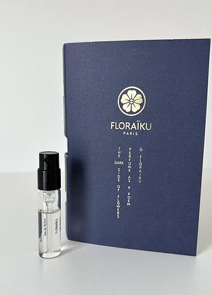 Floraïku sleeping on the roof edp