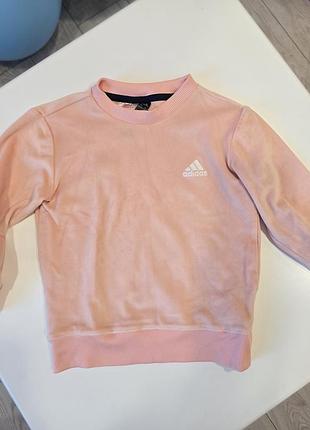 Велюровий світшот adidas на дівчинку