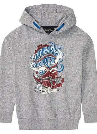 Худи с начесом для мальчика disney harry potter 390448 134-140 см (8-10 years) серый