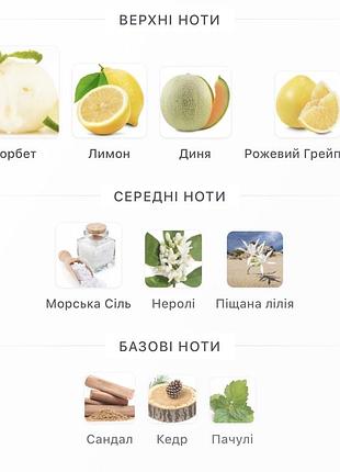 Трусарді дона 3