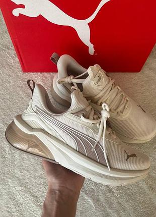 Кросівки жіночі puma seeker
