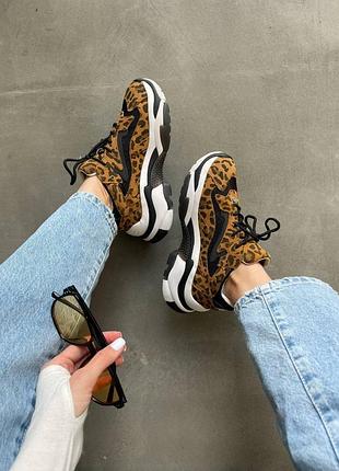 Ash leopard premium