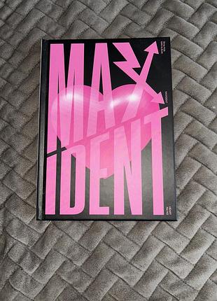 Stray kids — maxident