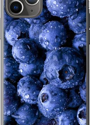 Чехол на iphone 11 pro голубика из пластика fch_0042184