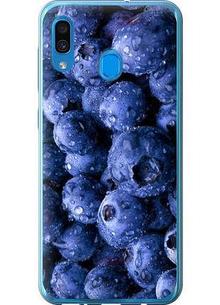 Чехол на samsung galaxy a30 2019 a305f голубика из пластика fch_0042143
