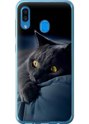 Чехол на samsung galaxy a30 2019 a305f дымчатый кот из пластика fch_0000833