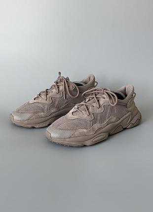 Кросівки adidas