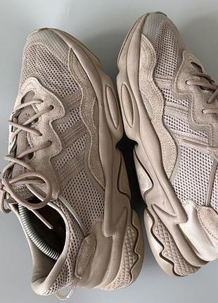 Кросівки adidas 6
