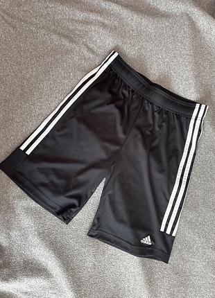 Ідеальні спортивні чоловічі шорти adidas оригінал