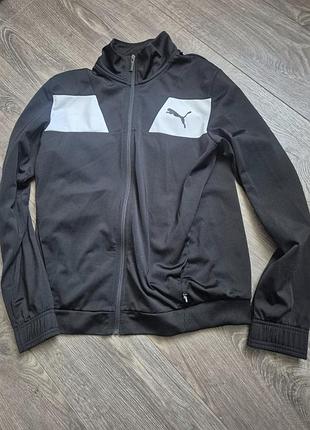Олимпийка puma