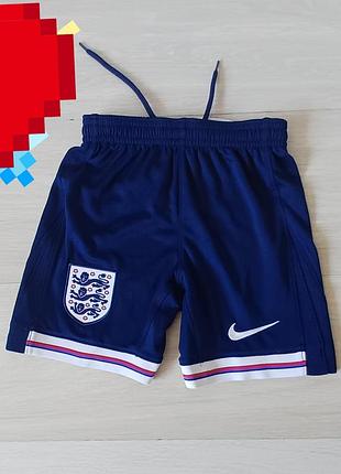 Шорты  спортивные  nike