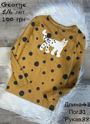 Реглан 5/6 років