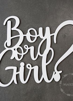 Напис boy or girl? для оформлення свята фотозона хлопчик чи або дівчинка декор на коробку з кульками коробка гендер паті вечірка рожевий блакитний