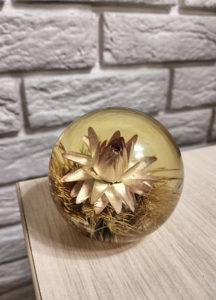 Колекційне прес-пап'є hafod grange paperweights