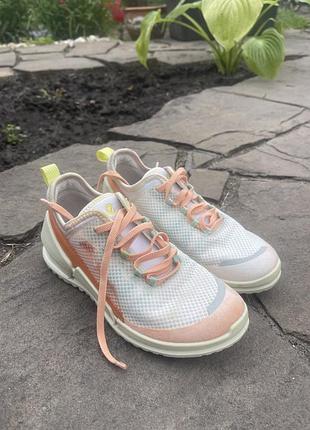 Кросівки ecco