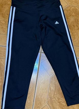 Лосини adidas