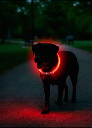 Аккумуляторный ошейник для собак l 65 см красный с led подсветкой водонепроницаемый для ночных прогулок