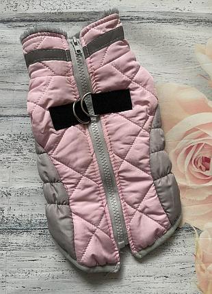 Тепла зимова жилетка для собаки s/xs, на хутрі