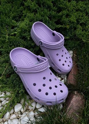 Жіночі крокси сабо crocs classic lavander clog крокси сабо classic