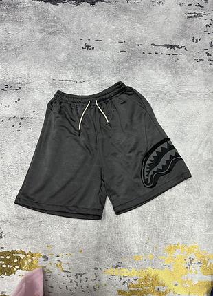 Шорты sprayground темно-серые