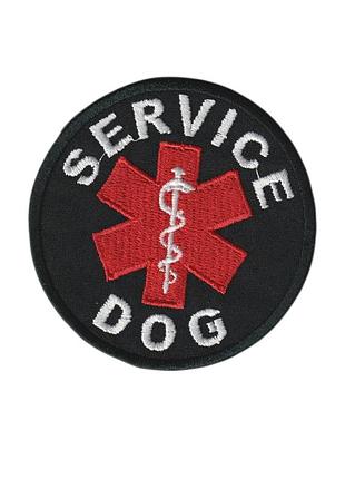 Шеврон service dog , на чорному, зсу, діаметр 8см