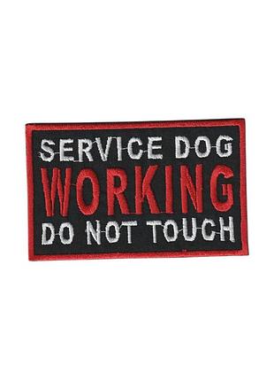 Шеврон service dog , на липучке, на черном, всу 10 см * 6 см