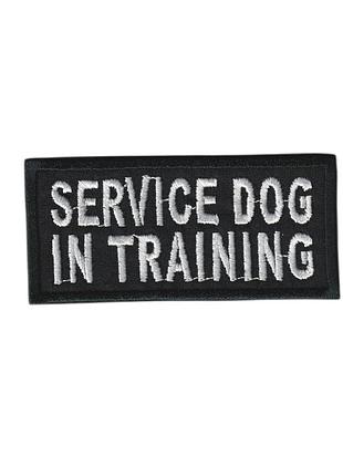 Шеврон service dog , на чорному, зсу. 9 см * 4 см