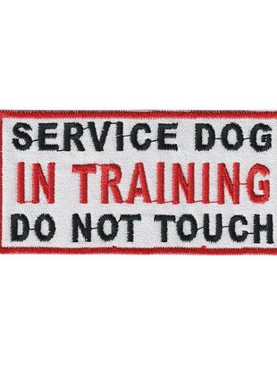 Шеврон service dog , на липучке, на белом, всу 9 см * 4 см