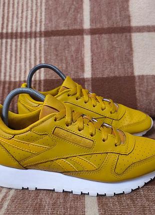Жіночі кросівки reebok classic