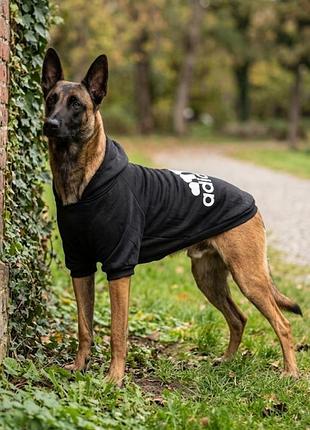 Спортивна кофта для собак adidog 9xl чорний