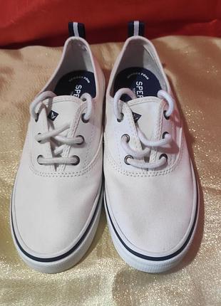 Стильні білі жіночі кеди sperry