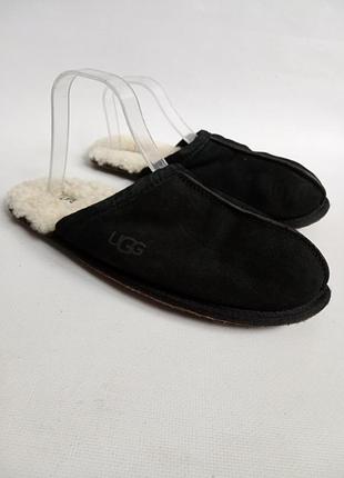 Замшеві тапки ugg