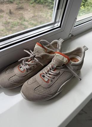 Кросівки geox замша