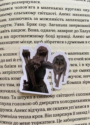 Наліпки/наклейки по книзі «двір шипів і троянд»