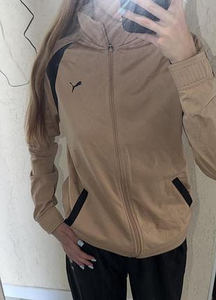 Оригінальний спортивний костюм puma (зіп-худі + штани)