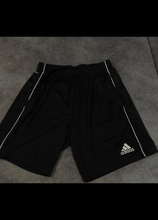 Чоловічі шорти adidas