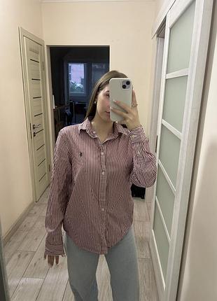 Оригінальна сорочка polo ralph lauren у червону смужку