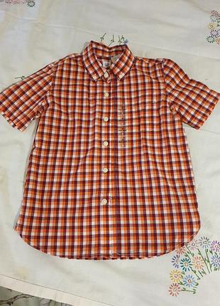 Рубашка с короткими рукавами для мальчика,новая,gap,6-7роков