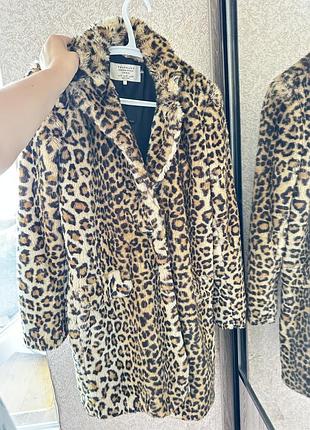 Красива леопардова шуба zara