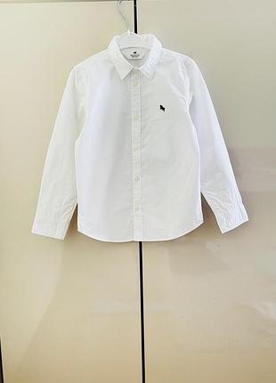 Біла базова сорочка h&m 116-122 розміру